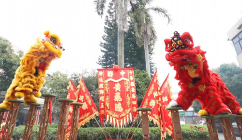 龙腾狮跃，共铸辉煌未来！